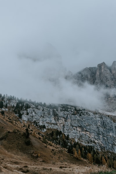 绿色的树在落基山白云白天
